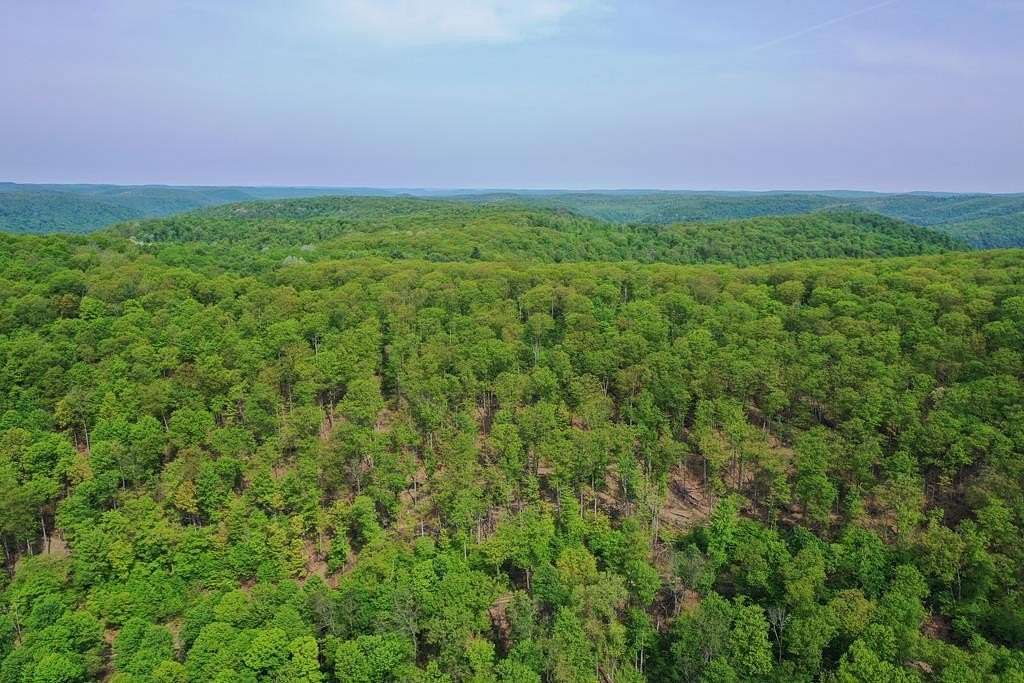 318 Acres of Recreational Land for Sale in Coudersport, Pennsylvania