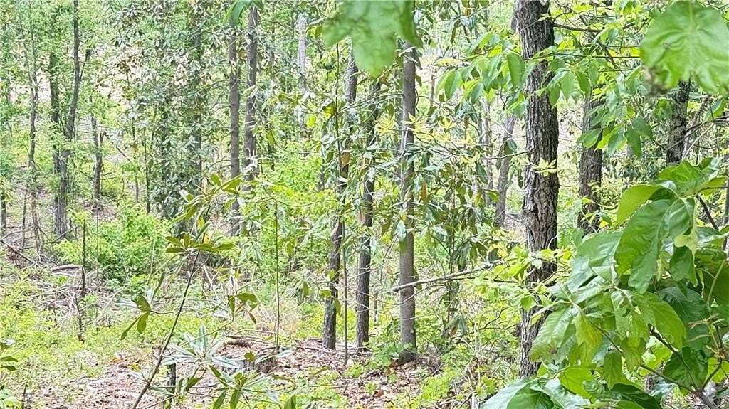 0.6 Acres of Residential Land for Sale in Dallas, Georgia