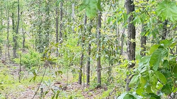0.6 Acres of Residential Land for Sale in Dallas, Georgia