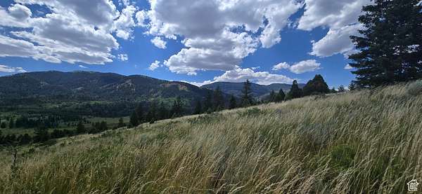 2.64 Acres of Land for Sale in Bancroft, Idaho