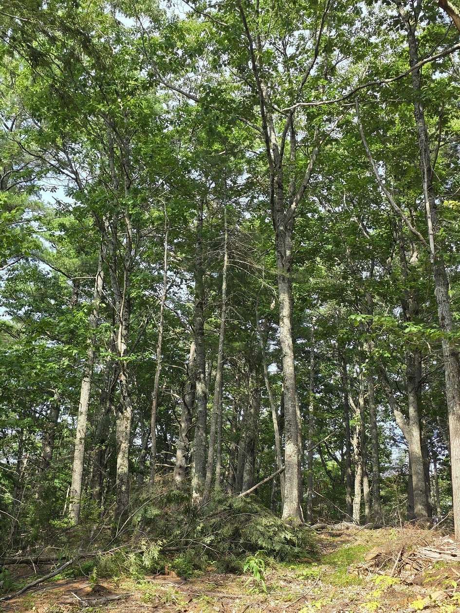 2.7 Acres of Land for Sale in Liberty, Maine