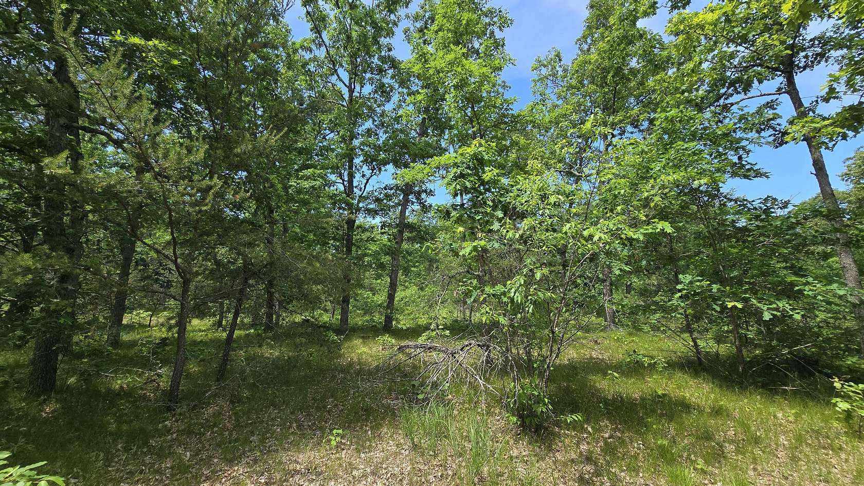 40 Acres of Recreational Land for Sale in Manistee, Michigan