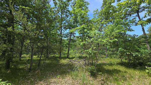 40 Acres of Recreational Land for Sale in Manistee, Michigan