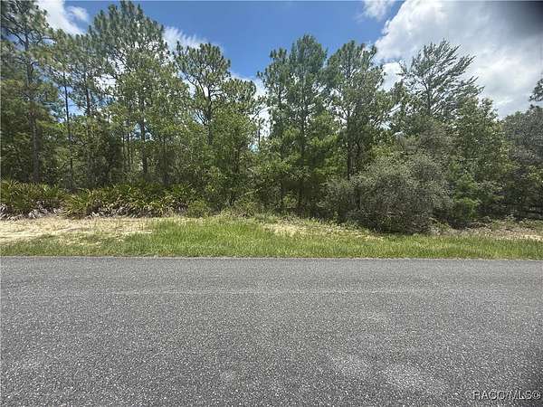 1 Acre of Residential Land for Sale in Beverly Hills, Florida