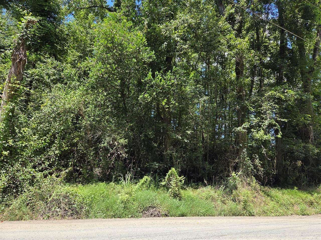 4.1 Acres of Residential Land for Sale in Ridgeville, South Carolina