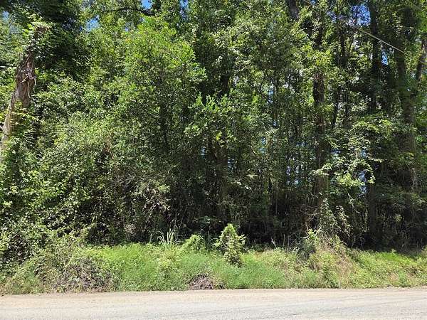 4.1 Acres of Residential Land for Sale in Ridgeville, South Carolina