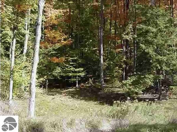 1.59 Acres of Land for Sale in Kewadin, Michigan