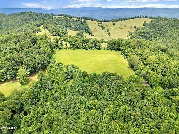 50 Acres of Recreational Land for Sale in Gate City, Virginia