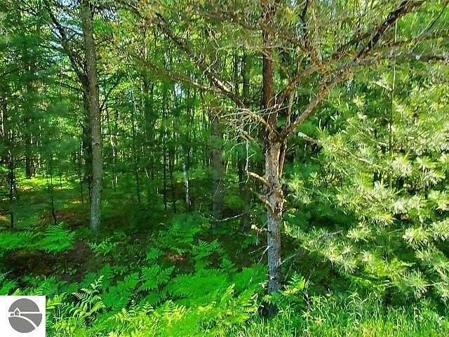 0.3 Acres of Residential Land for Sale in Alger, Michigan