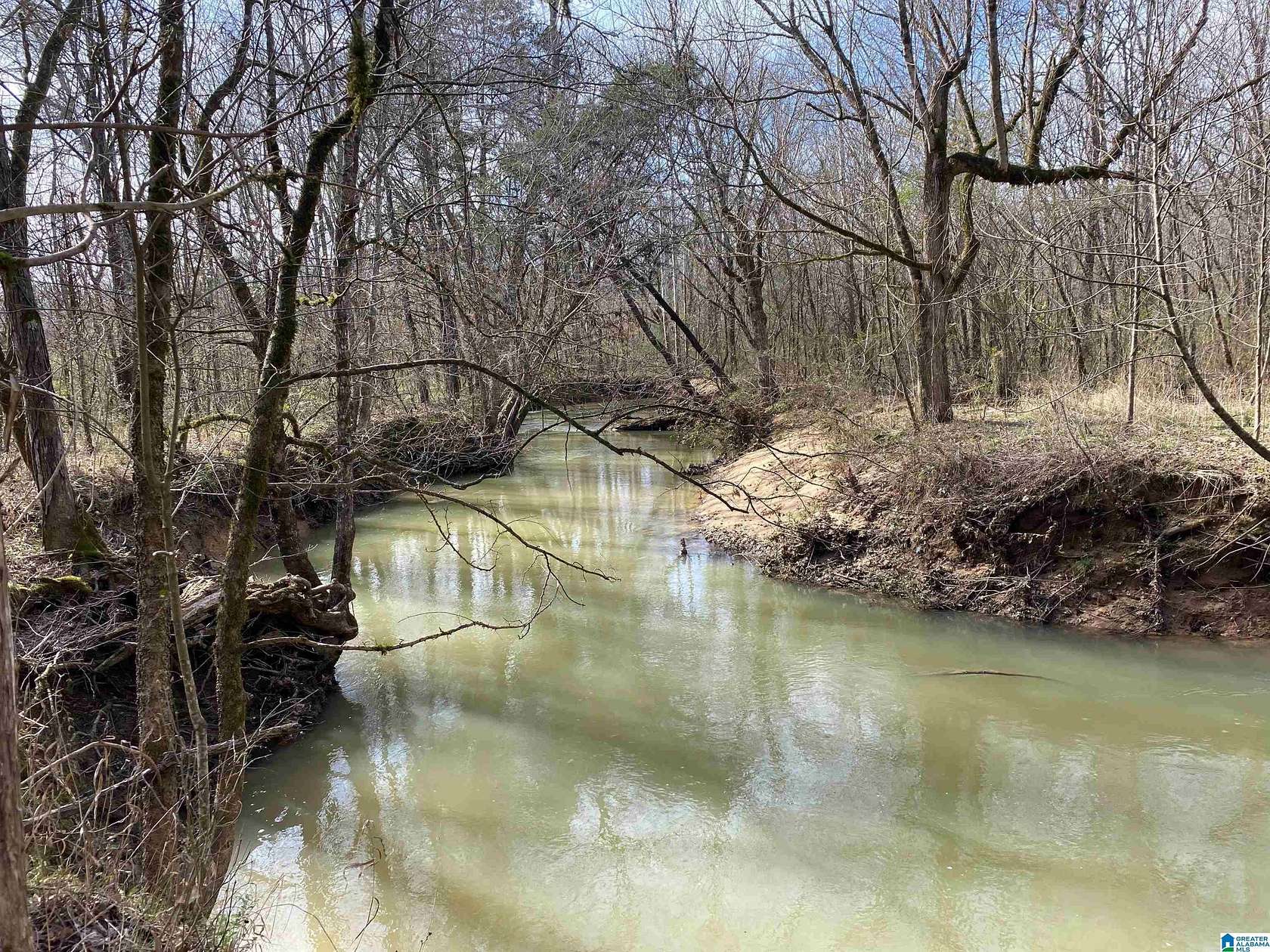 27 Acres of Land for Sale in Ashville, Alabama