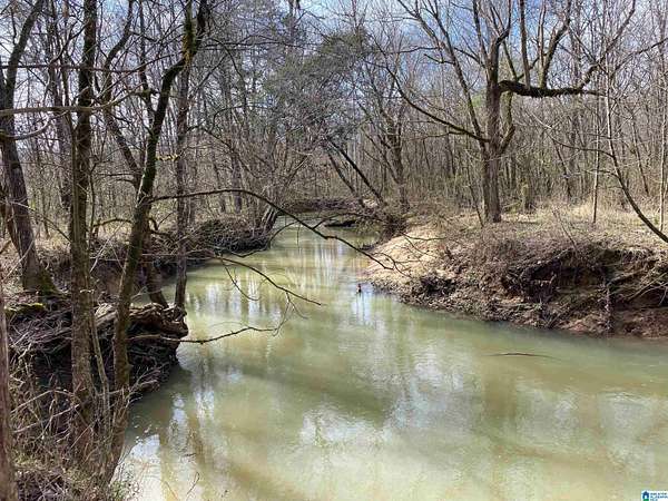 27 Acres of Land for Sale in Ashville, Alabama