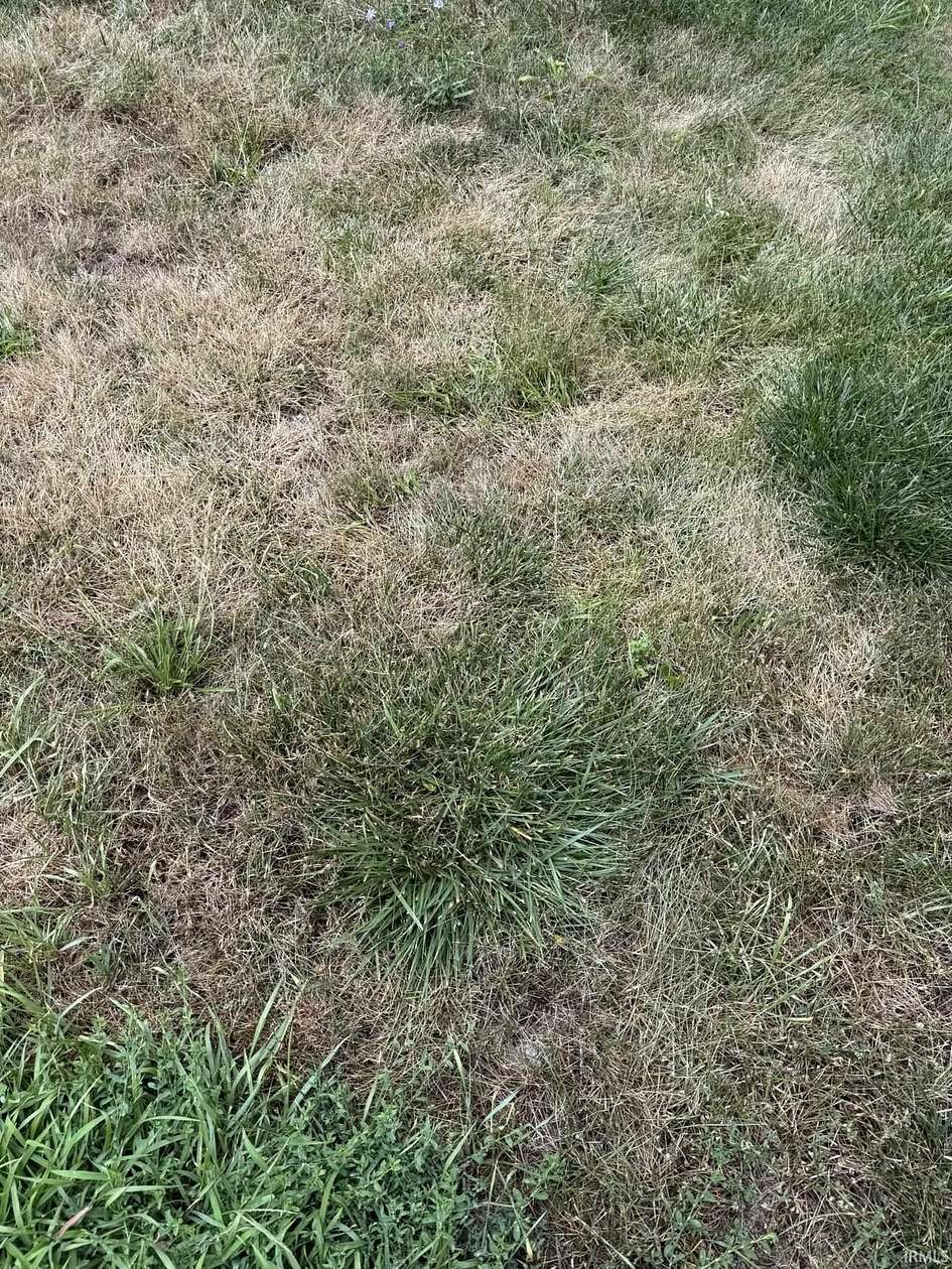 0.07 Acres of Residential Land for Sale in Fort Wayne, Indiana