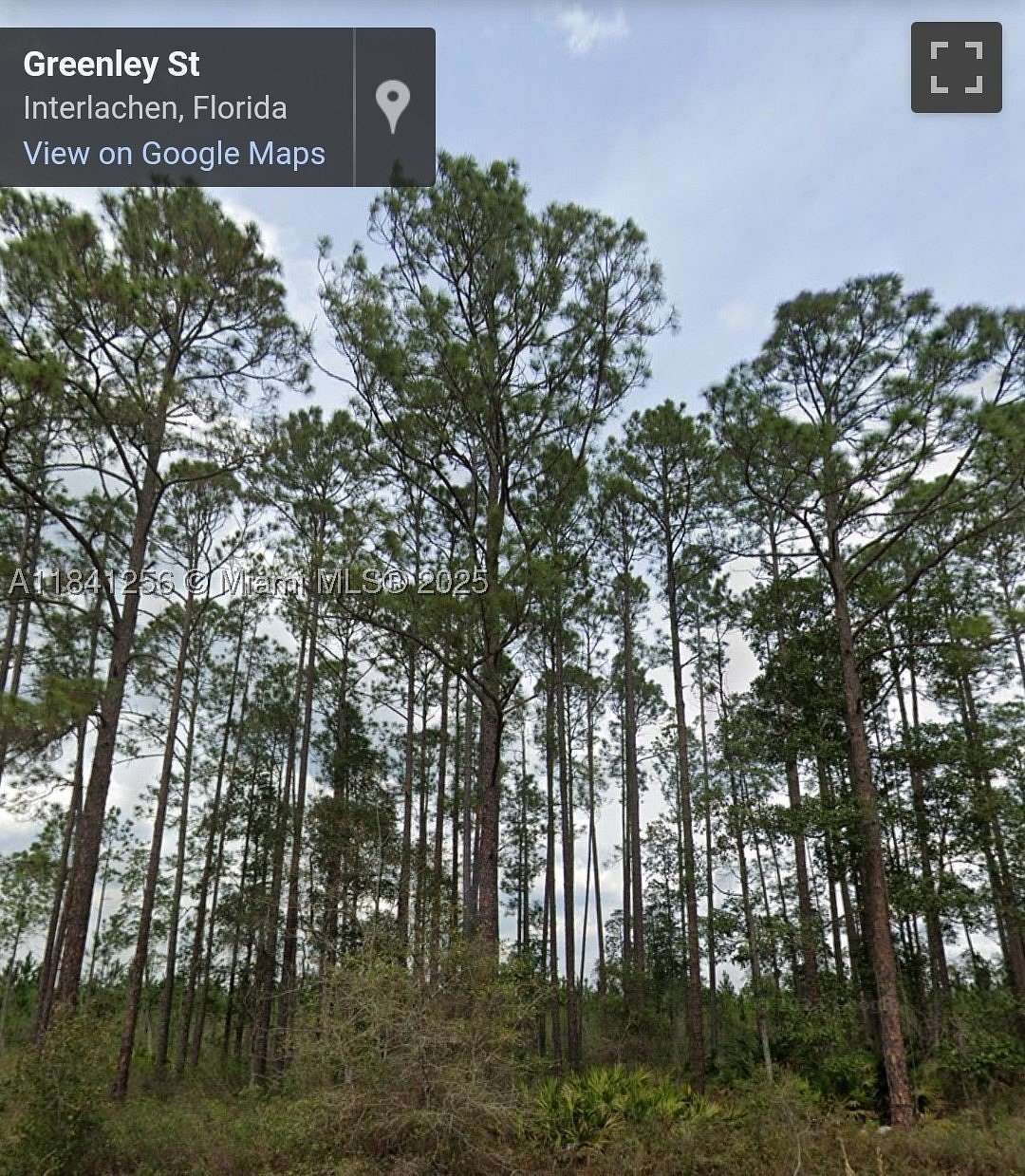 0.3 Acres of Land for Sale in Palatka, Florida