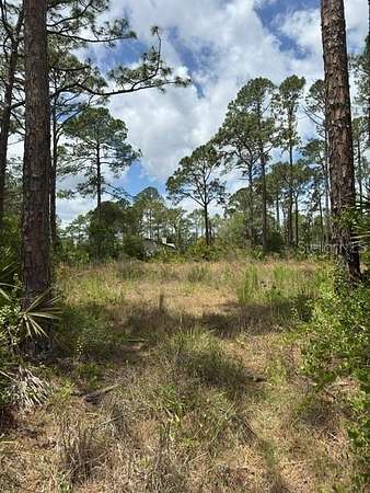 0 26 Acres of Residential Land - Deland Fl 145637021