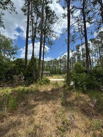 0 26 Acres of Residential Land - Deland Fl 145637024