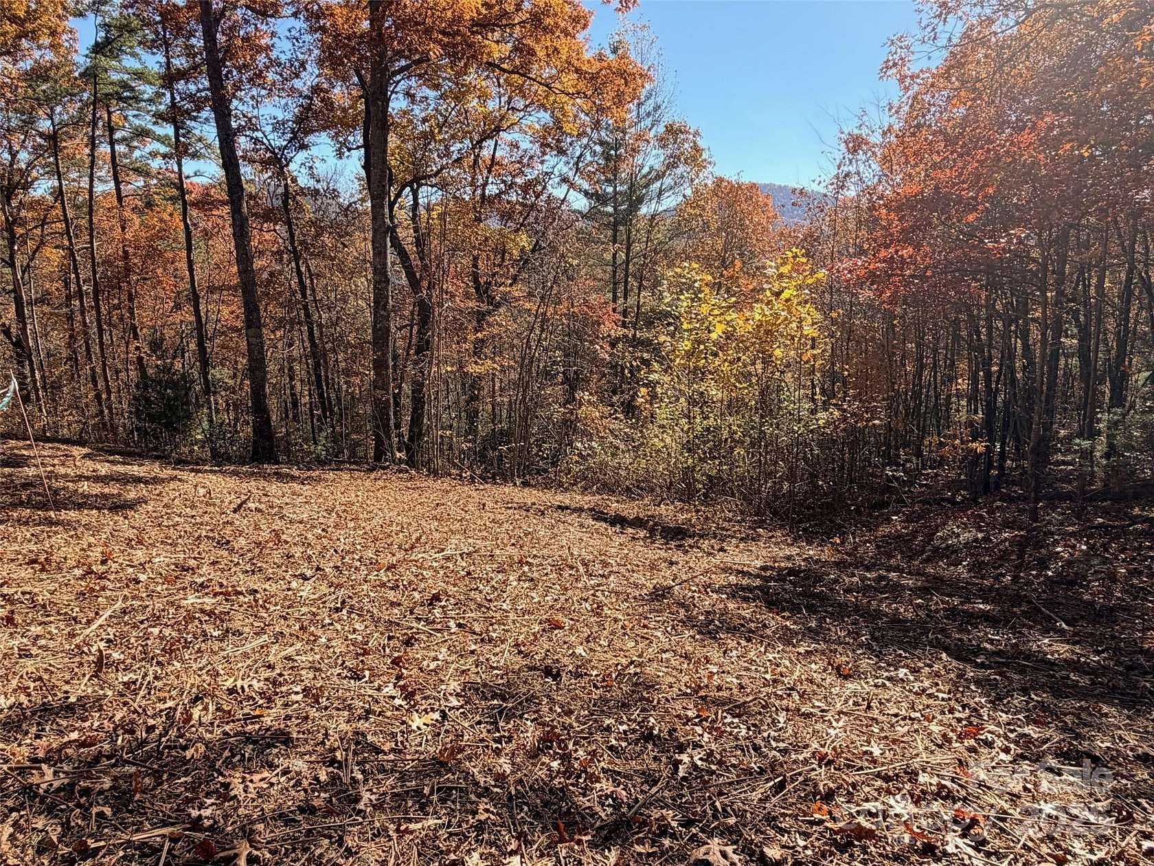 4.48 Acres of Land for Sale in Zirconia, North Carolina