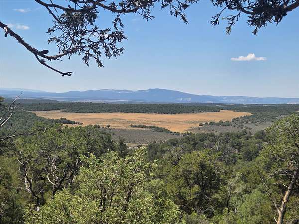 5.75 Acres of Residential Land for Sale in Tierra Amarilla, New Mexico