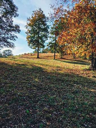 0.64 Acres of Residential Land for Sale in Red Bay, Alabama