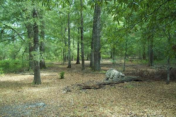 64 Acres of Recreational Land & Farm for Sale in Blakely, Georgia