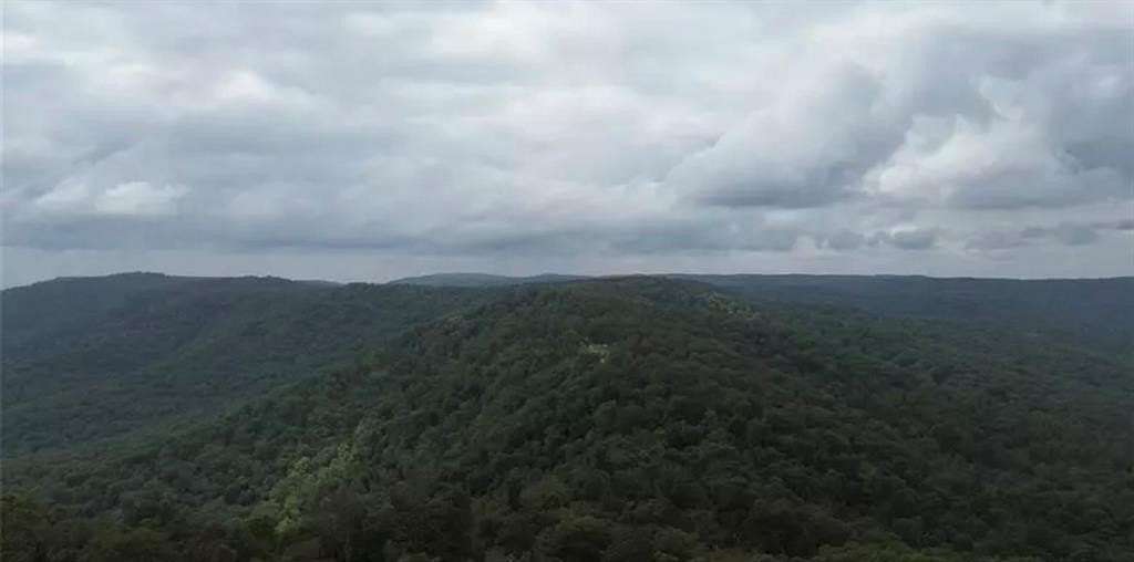 38.8 Acres of Recreational Land for Sale in Combs, Arkansas