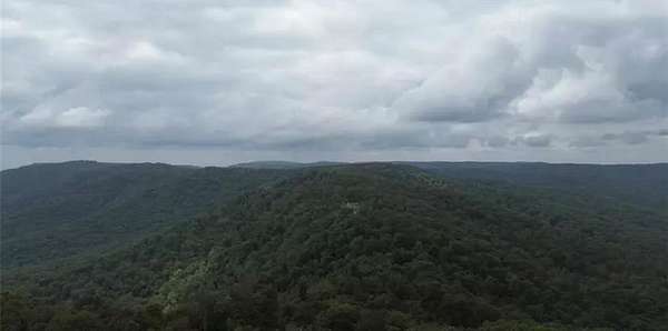 38.8 Acres of Recreational Land for Sale in Combs, Arkansas