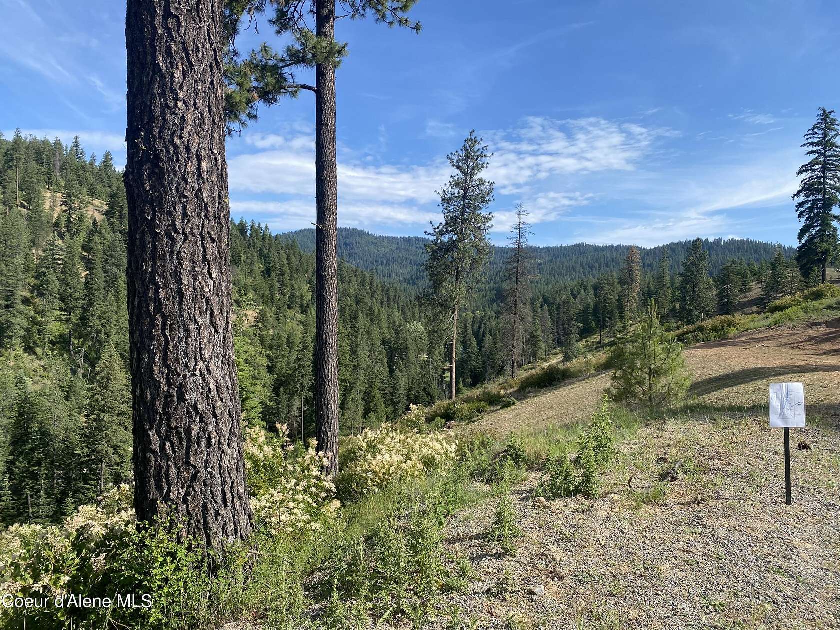 17.2 Acres of Land for Sale in Coeur d'Alene, Idaho