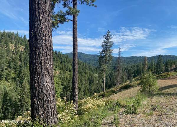 17.2 Acres of Land for Sale in Coeur d'Alene, Idaho