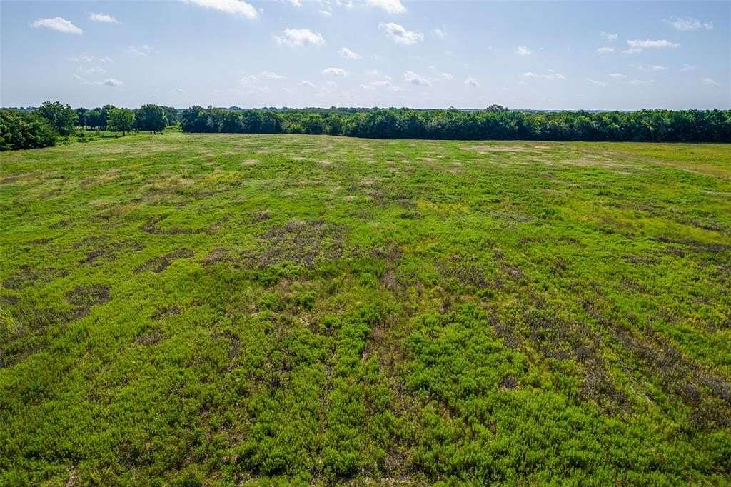 20.8 Acres of Recreational Land & Farm for Sale in Blue Ridge, Texas