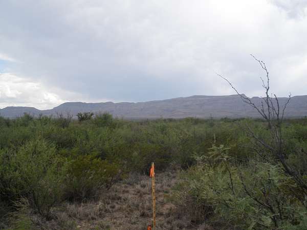 20 Acres of Land for Sale in Sierra Blanca, Texas