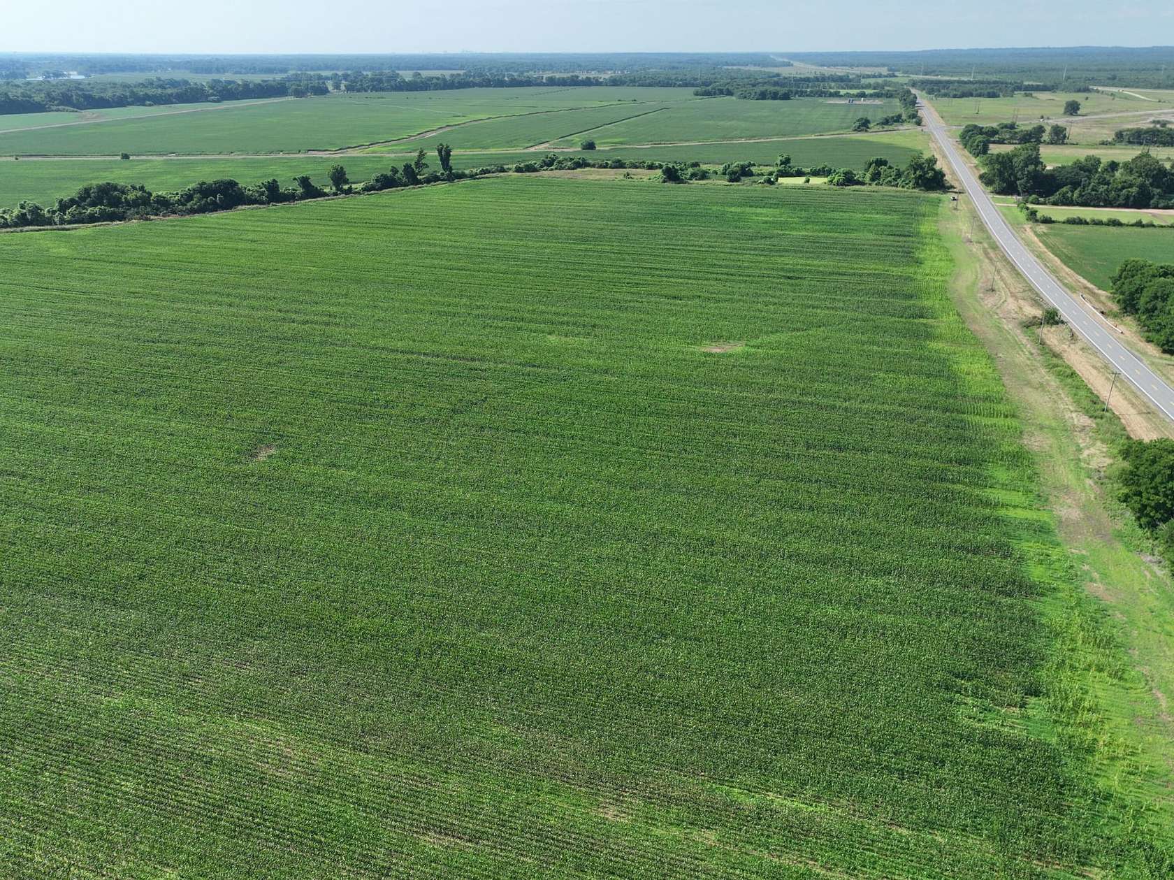 89.3 Acres of Agricultural Land for Sale in Shreveport, Louisiana