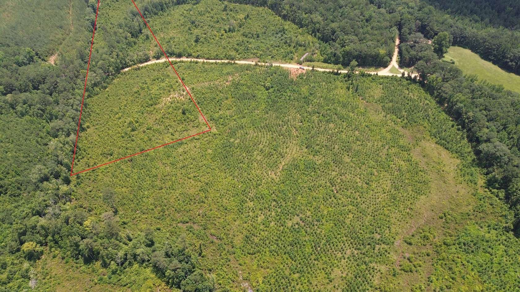 11 Acres of Recreational Land & Farm for Sale in Fayette, Alabama