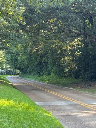45.5 Acres of Recreational Land for Sale in Natchez, Mississippi