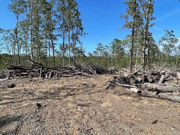 56 Acres of Land for Sale in Piedmont, Missouri