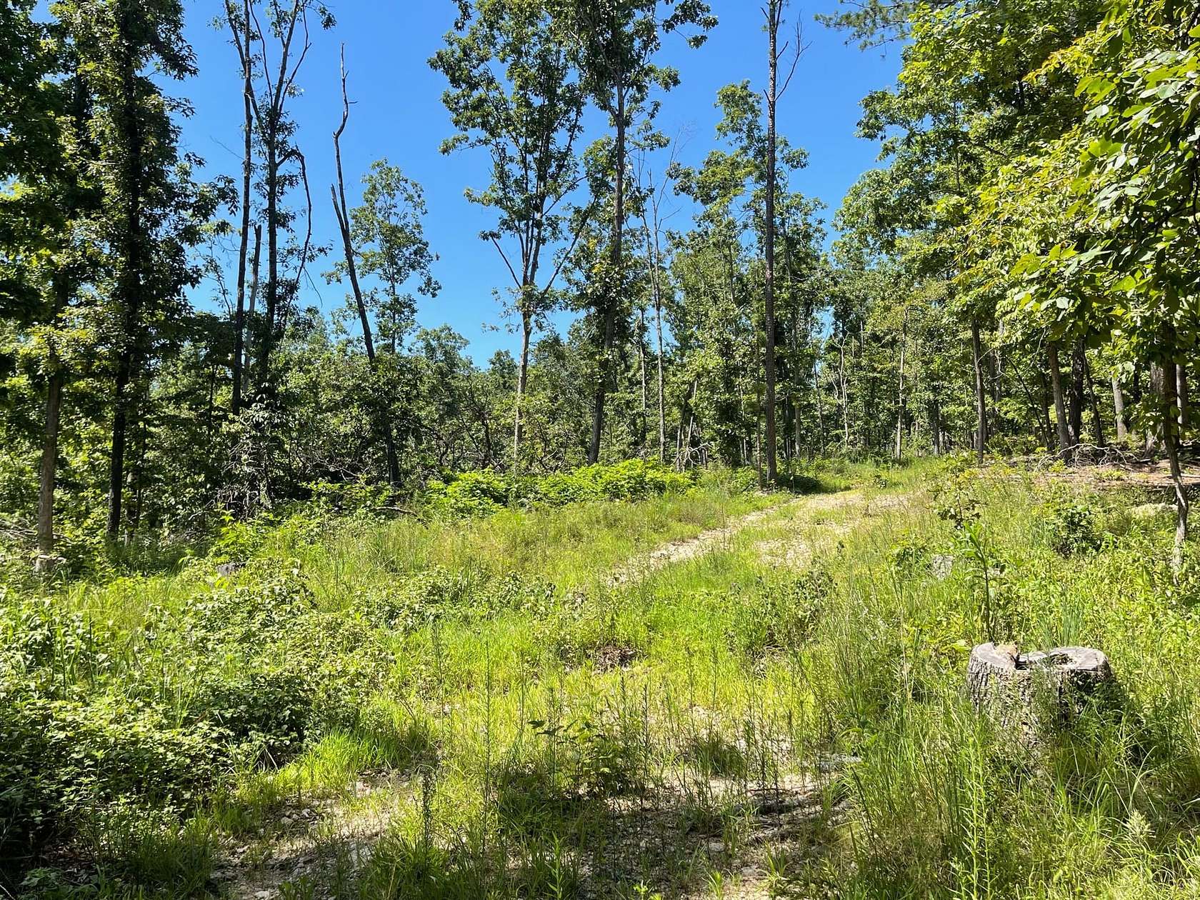 134 Acres of Recreational Land & Farm for Sale in Piedmont, Missouri