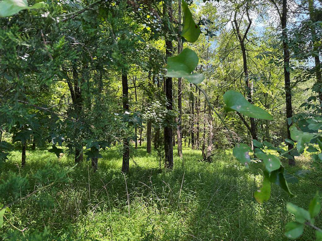 4 Acres of Land for Sale in Clarksville, Virginia