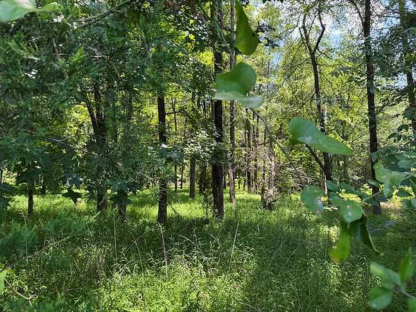 4 Acres of Land for Sale in Clarksville, Virginia