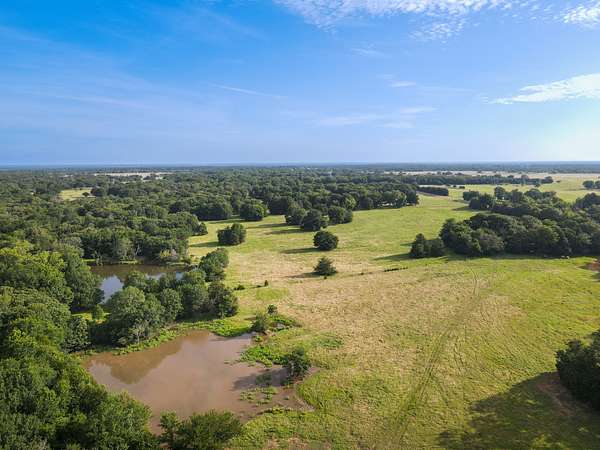 110 Acres of Land for Sale in Telephone, Texas