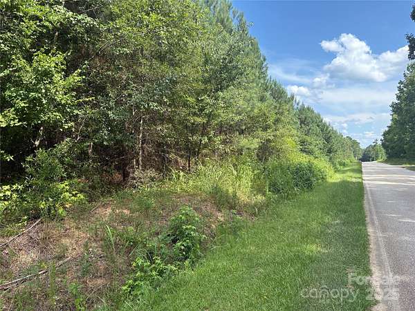 10 Acres of Residential Land for Sale in Chesterfield, South Carolina