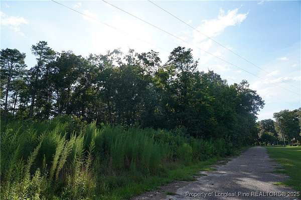 0.49 Acres of Residential Land for Sale in Red Springs, North Carolina