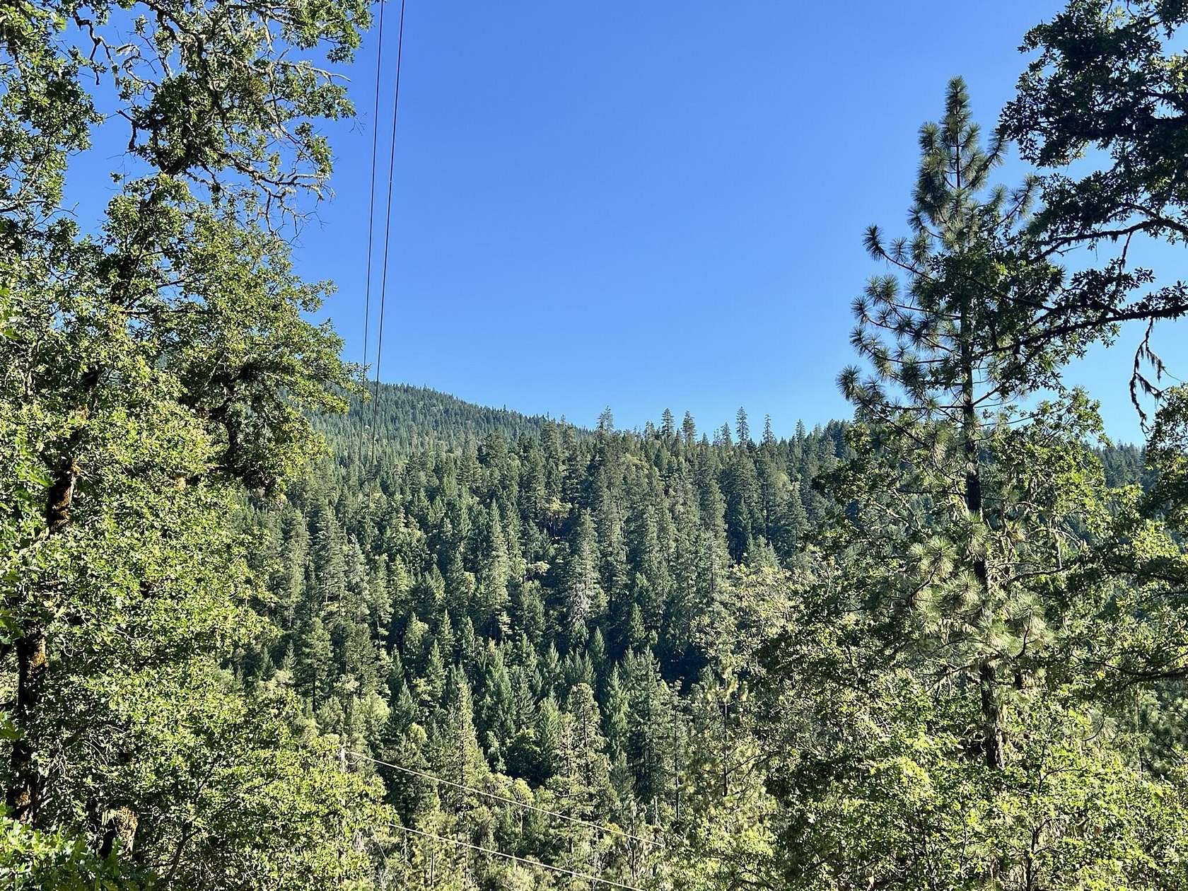 7.35 Acres of Mixed-Use Land for Sale in Wolf Creek, Oregon