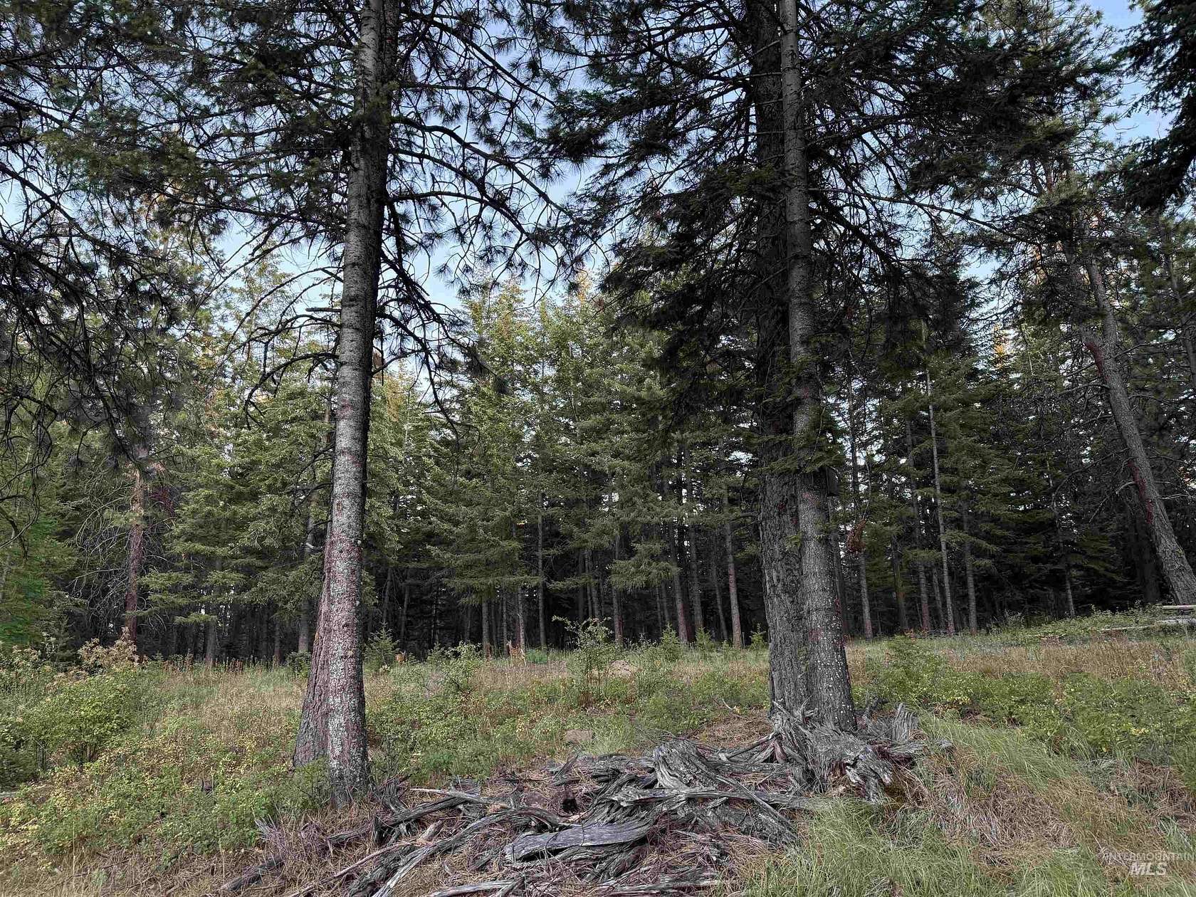 4.55 Acres of Land for Sale in Asotin, Washington