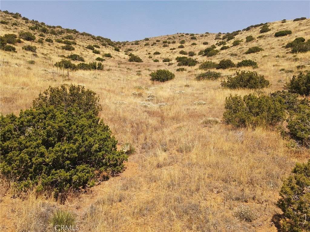 40 Acres of Agricultural Land for Sale in Agua Dulce, California