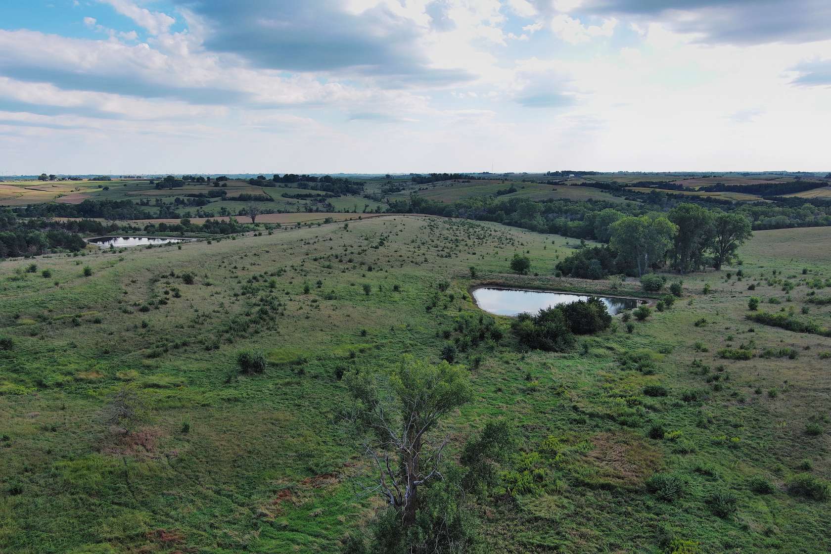 99 Acres of Recreational Land & Farm for Sale in Corning, Iowa