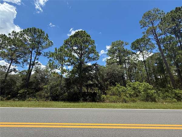 0.2 Acres of Residential Land for Sale in Ocklawaha, Florida