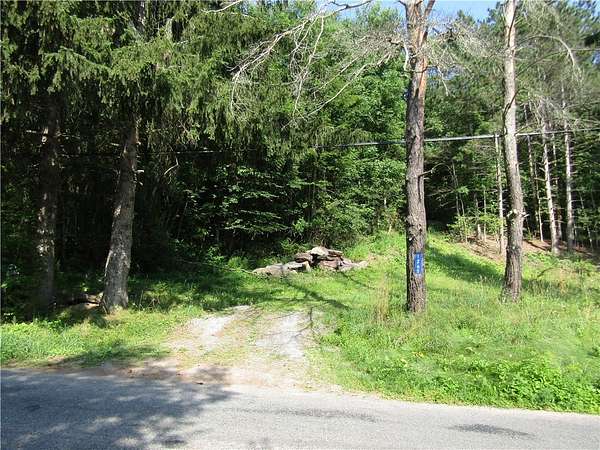 1.5 Acres of Land for Sale in Roxbury, New York