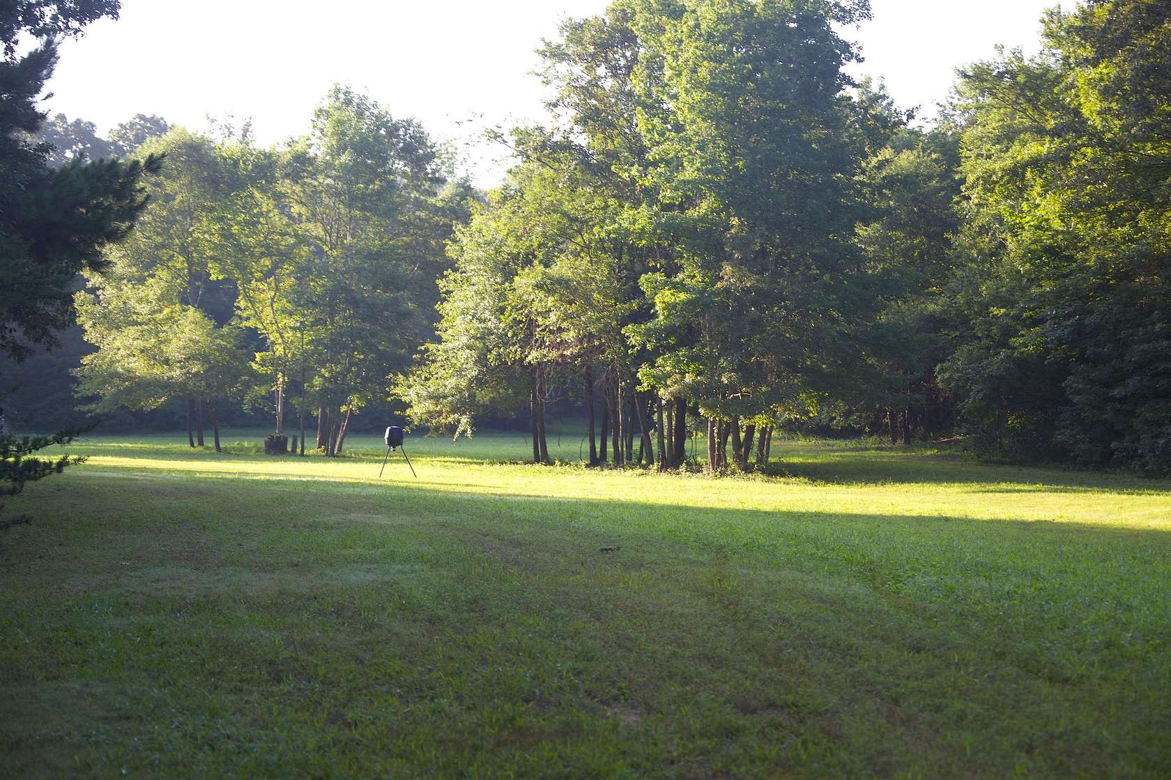 293 Acres of Recreational Land for Sale in Grand Junction, Tennessee