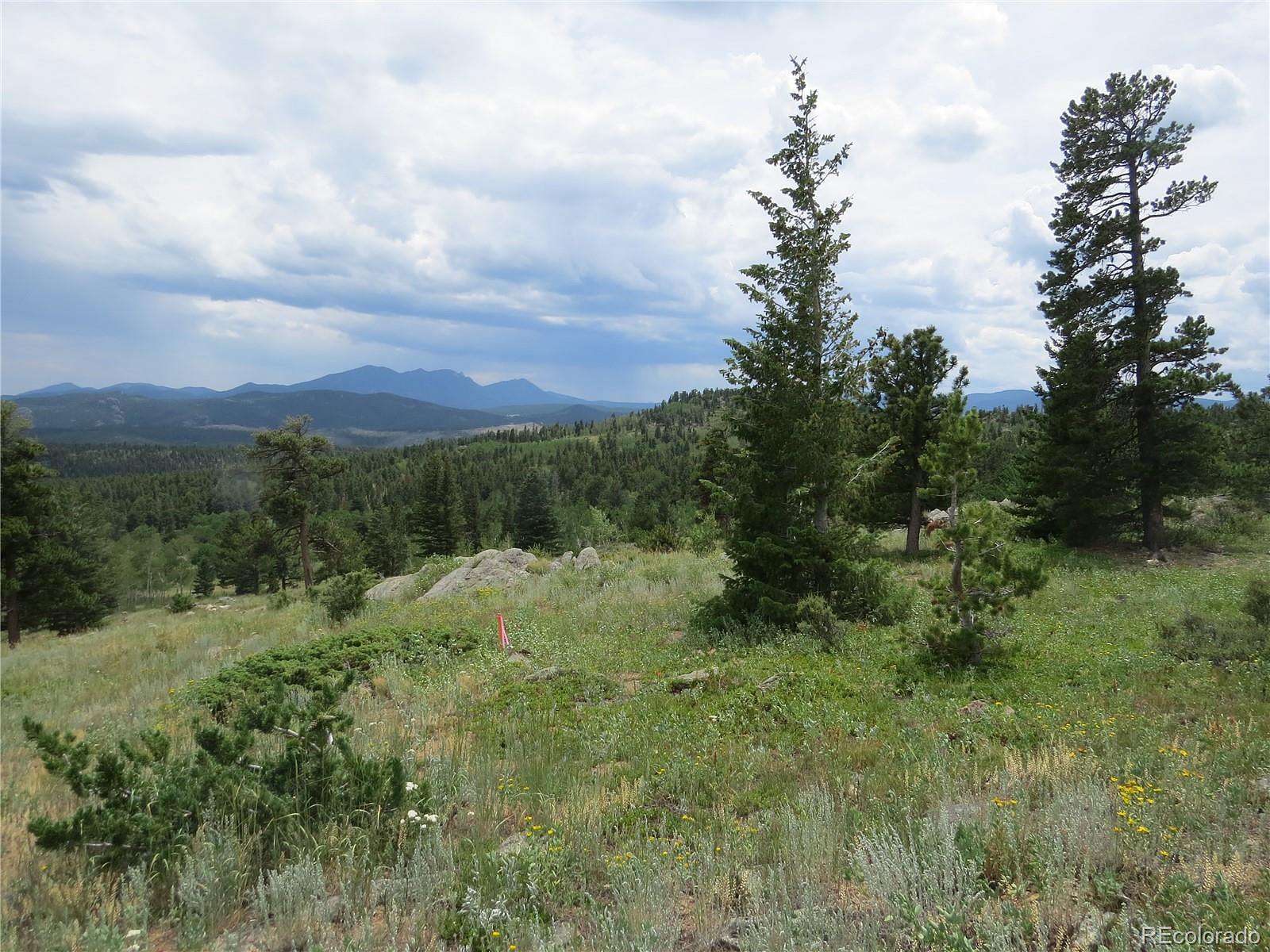 5 Acres of Recreational Land for Sale in Nederland, Colorado