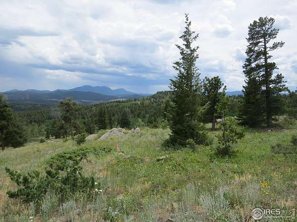 5 Acres of Recreational Land for Sale in Nederland, Colorado