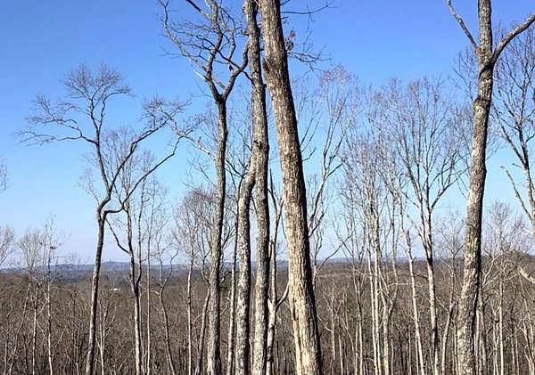 1.53 Acres of Land for Sale in Ellijay, Georgia