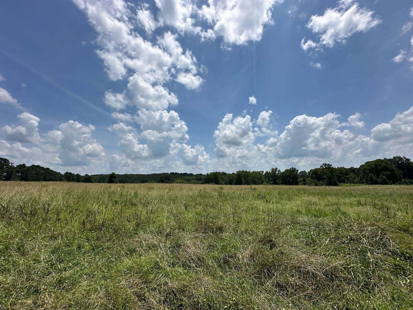 10 Acres of Land for Sale in Philadelphia, Mississippi